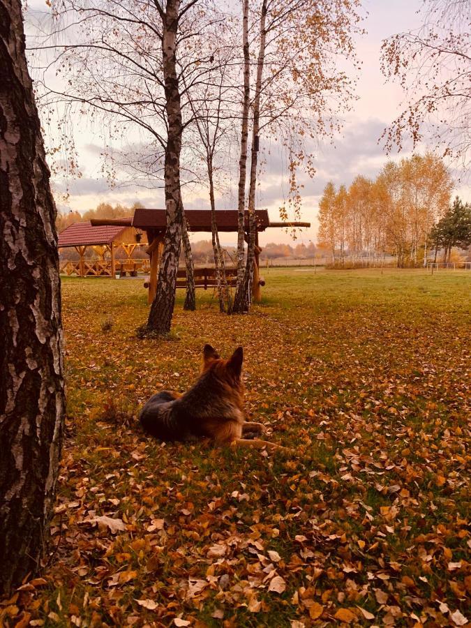 Rajskie Siedlisko Smykow Dış mekan fotoğraf